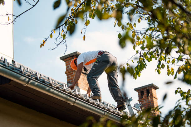 Quick and Trustworthy Emergency Roof Repair Services in De Soto, IL