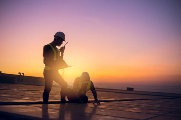 Best Roof Gutter Cleaning  in De Soto, IL