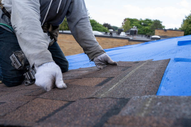 Best New Roof Installation  in De Soto, IL