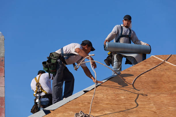 Best Roof Waterproofing Services  in De Soto, IL