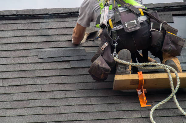 Best Residential Roofing Contractor  in De Soto, IL