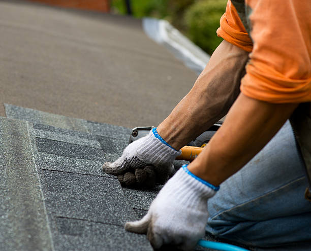 Professional Roofing Contractor in De Soto, IL