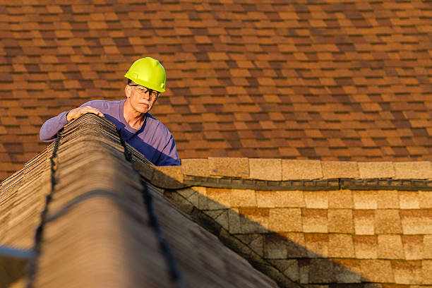 Best Roof Leak Repair  in De Soto, IL
