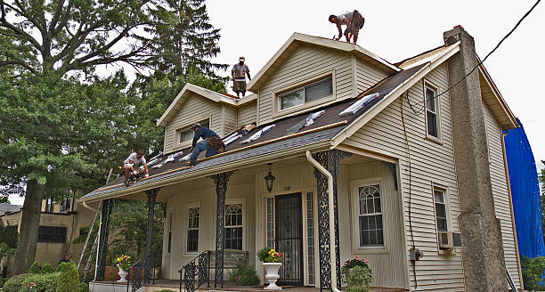 Best Shingle Roofing Installation  in De Soto, IL