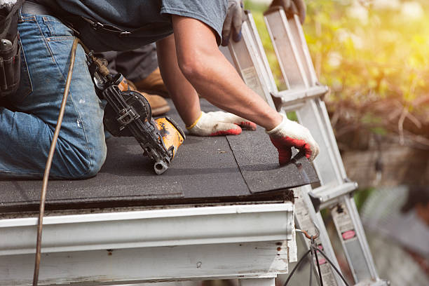Best Roof Restoration Services  in De Soto, IL