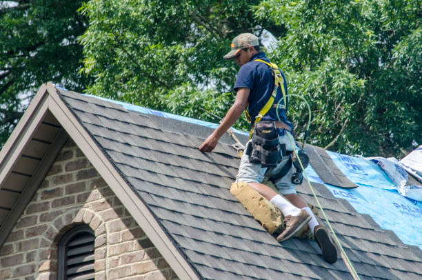Best Roof Installation Near Me  in De Soto, IL